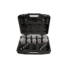 BETA 1569/SB Assortimento di utensili per l'estrazione e l'introduzione di: silent block ponte posteriore, paraoli albero motore