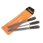 BETA 1719BMR/B3 Serie di 3 raspe a taglio mezzodolce, con impugnatura, in busta appendibile