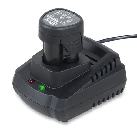 BETA 1994CB 12V Caricabatteria rapido 12V 110V-240V