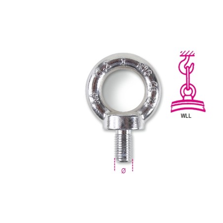 ROBUR 8240F Golfari per sollevamento inox A4 maschio, FORGIATI