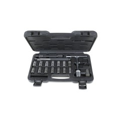 BETA 960PI/C19 Assortimento di 19 utensili per la pulizia sedi iniettori