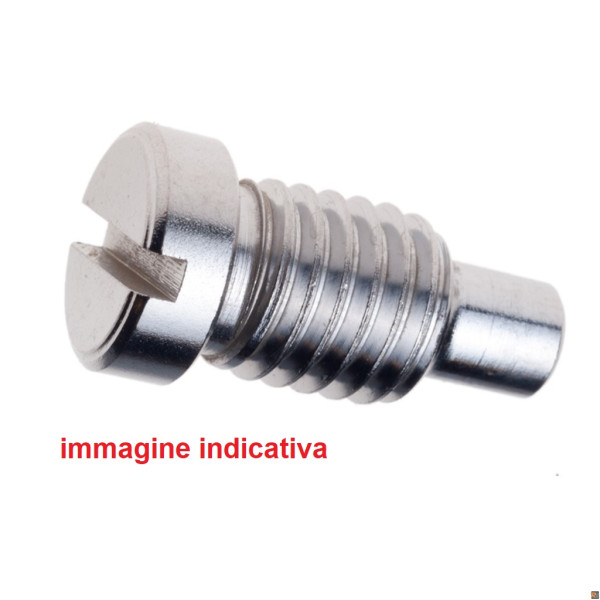 RICAMBIO VITE NASELL PER 99 80-120 VN80