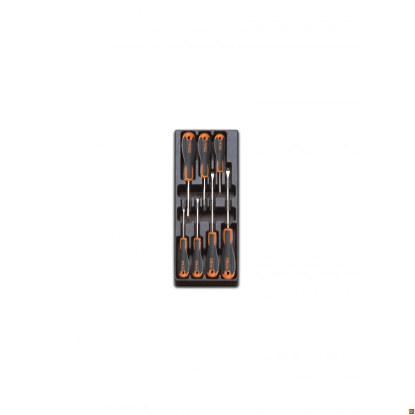 T221 TERMOFORMATO CON 7 GIRAVITI TAGLIO E PH BETA UTENSILI 024240221