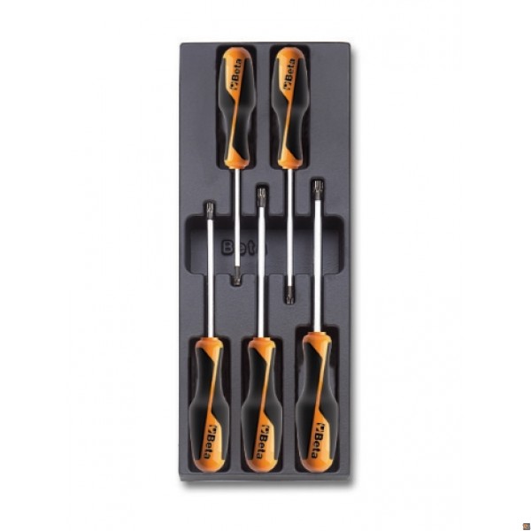 T206 - TERMOFORMATO RIGIDO CON ASSORTIMENTO DI UTENSILI